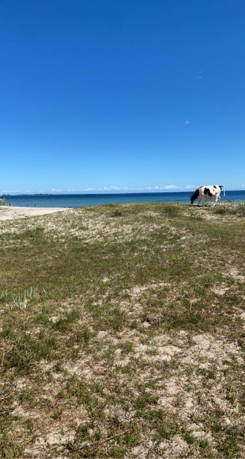 Bo i egen stuga på härlig ölandsgård Köpingsvik Exteriör bild
